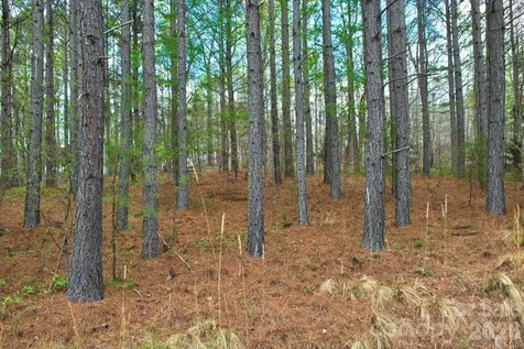 0 Clearwater Parkway Rutherfordton NC 28139