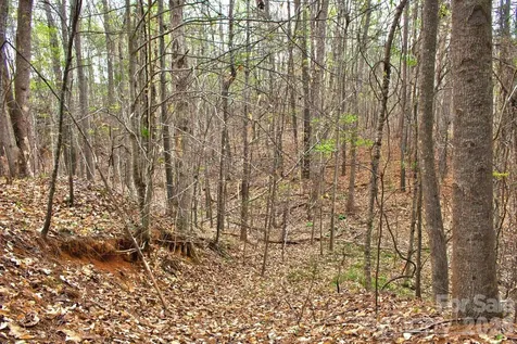 0 Clearwater Parkway Rutherfordton NC 28139