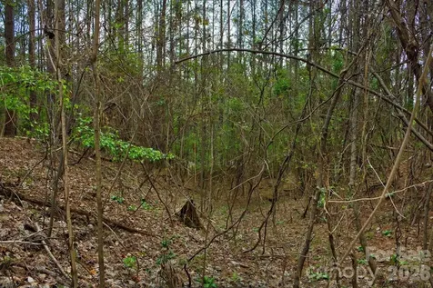 0 Clearwater Parkway Rutherfordton NC 28139