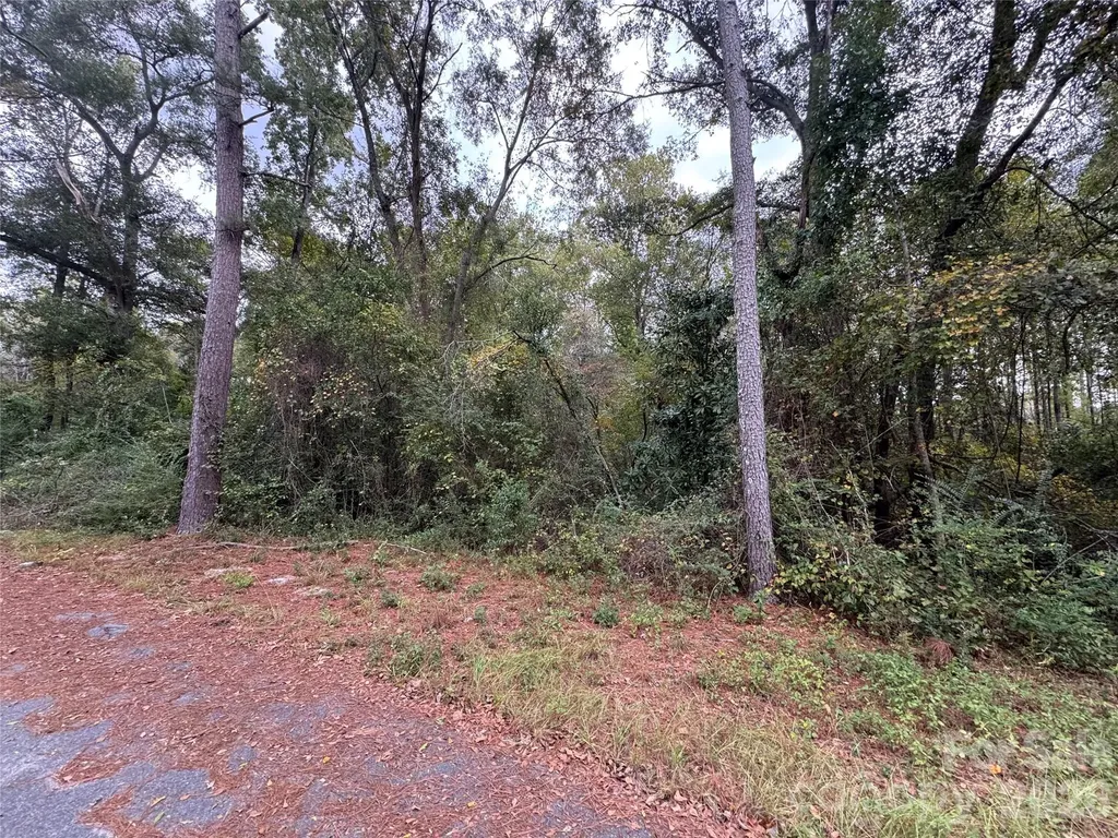 00 Ellen Drive Hamlet NC 28345