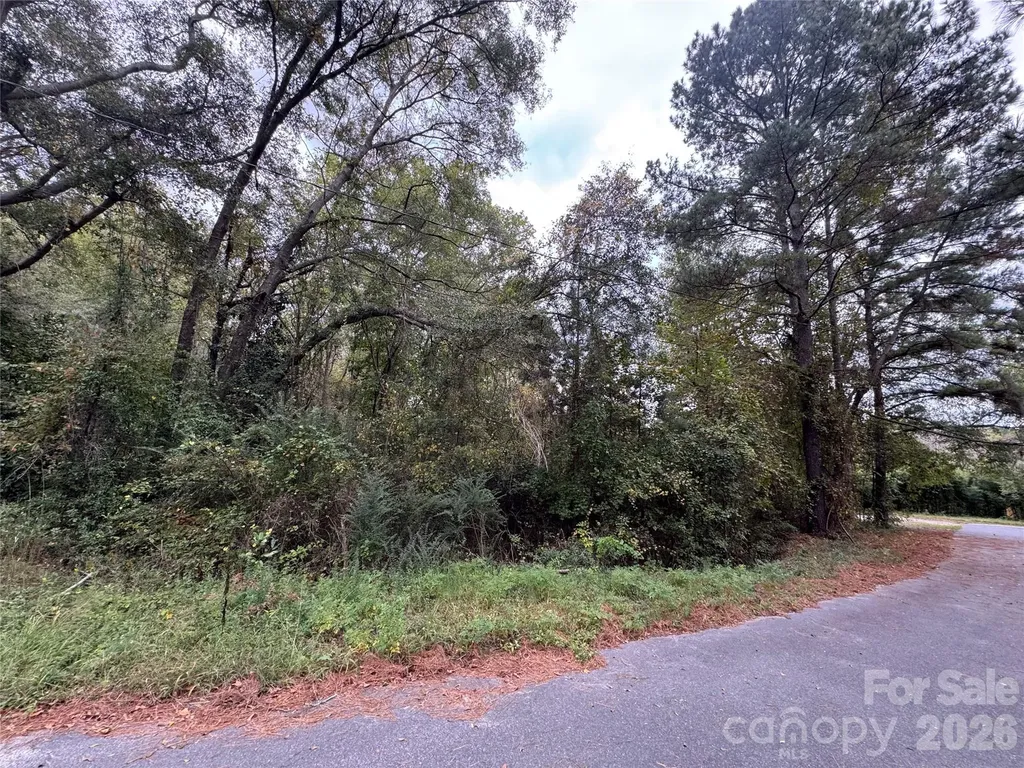 00 Ellen Drive Hamlet NC 28345