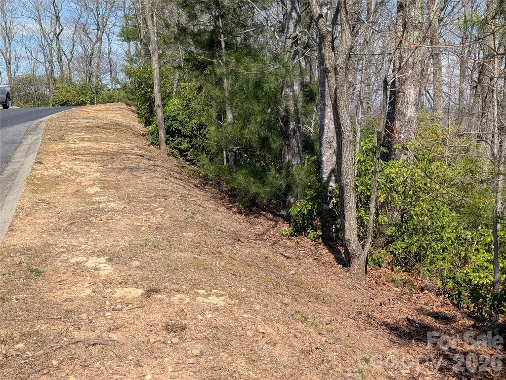 1094 Mills River Way Horse Shoe NC 28742