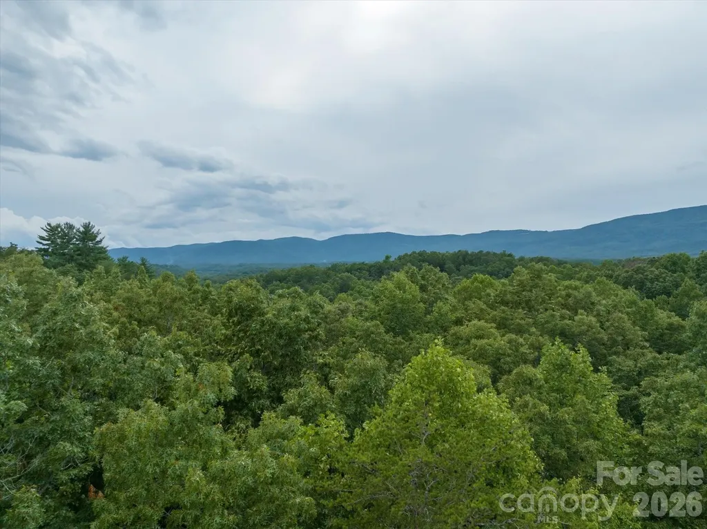 0 Twin Maple Way Mill Spring NC 28756