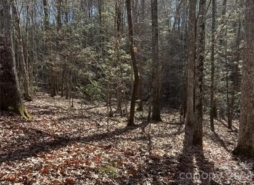 0 Twin Maple Way Mill Spring NC 28756