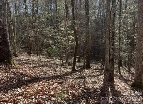0 Twin Maple Way Mill Spring NC 28756