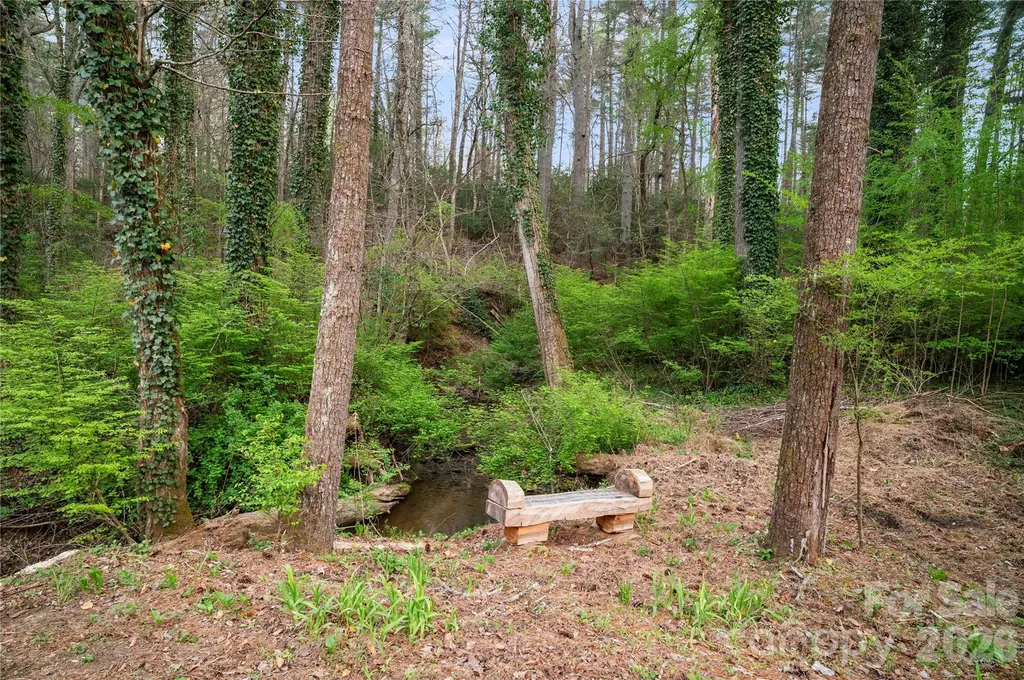 3002 Kanuga Road Hendersonville NC 28739