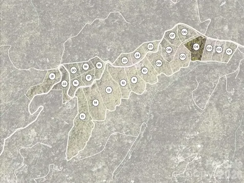 631 Elk Mountain Scenic Highway Asheville NC 28804