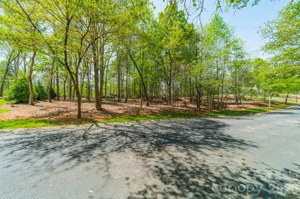 8113 Bay View Lane Belmont NC 28012