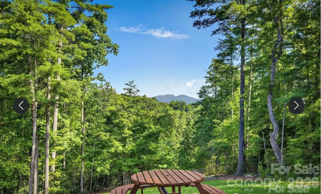 217 Sycamore Drive Nebo NC 28761