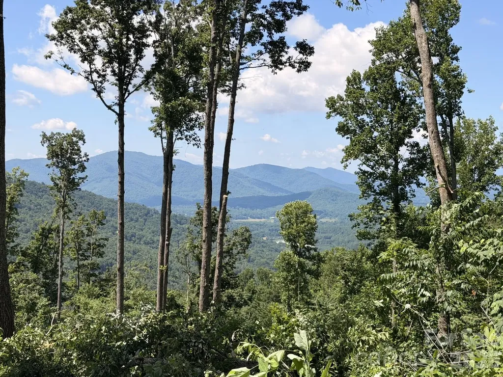 588 Long Branch Road Swannanoa NC 28778