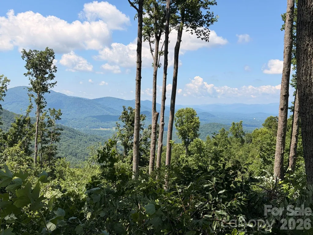 588 Long Branch Road Swannanoa NC 28778
