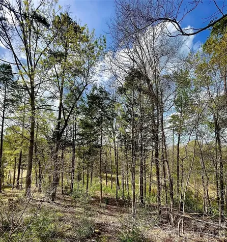 2409 Falling Leaf Court Rock Hill SC 29732