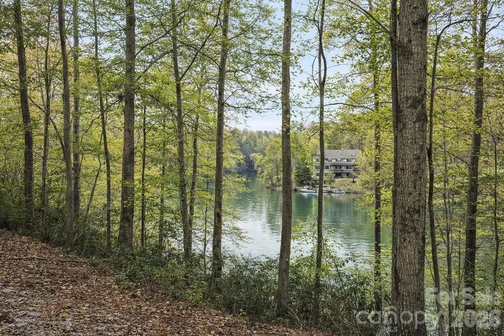 00 Lake Adger Parkway Mill Spring NC 28756