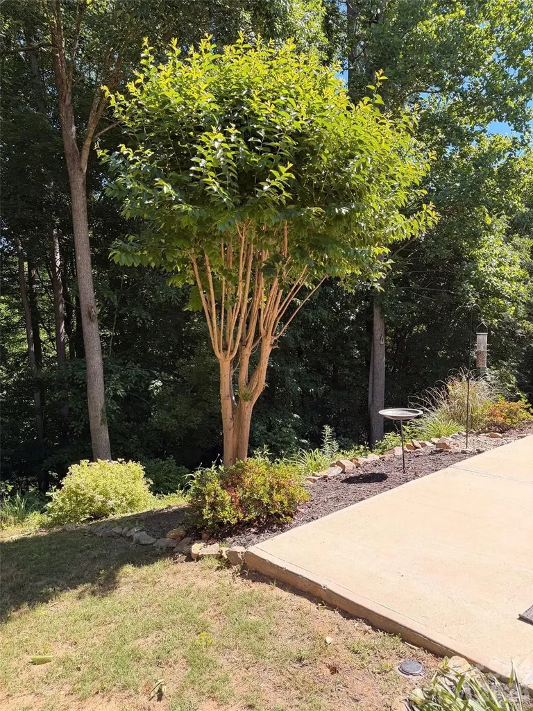 4873 Samuel Pinckney Drive Belmont NC 28012