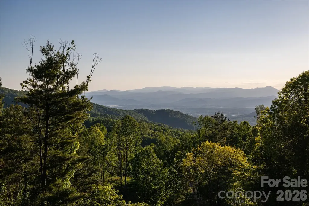 31 Bear Tree Court Hendersonville NC 28792