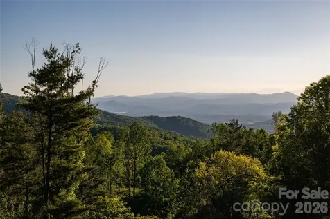31 Bear Tree Court Hendersonville NC 28792