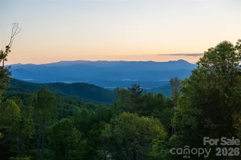 31 Bear Tree Court Hendersonville NC 28792