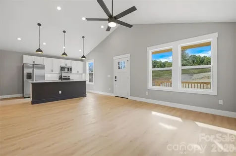 133 Moore Street Hendersonville NC 28739