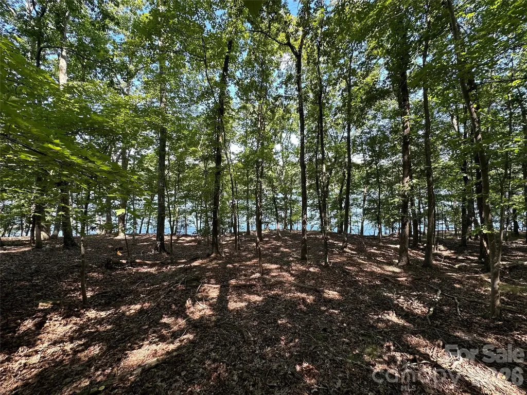 1768 Rocky Cove Lane Denton NC 27239