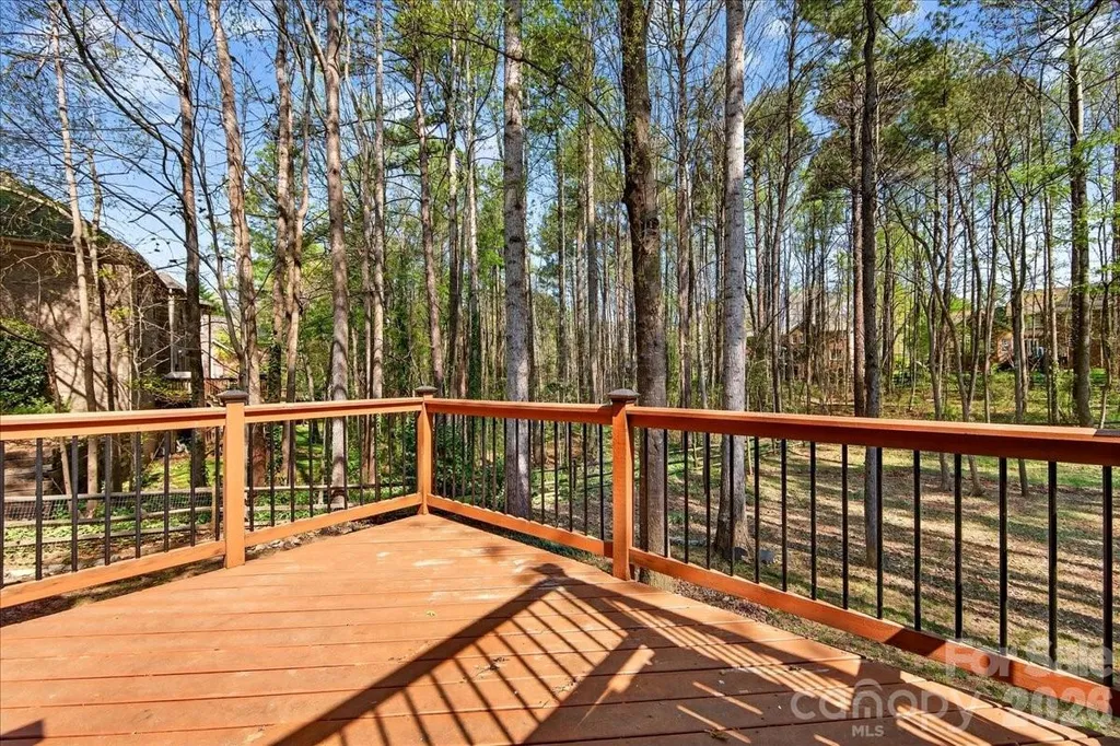 12532 Overlook Mountain Drive Charlotte NC 28216