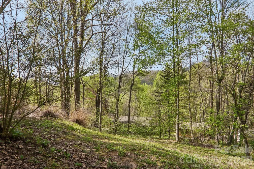 74 Link Circle Maggie Valley NC 28751