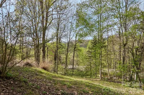 74 Link Circle Maggie Valley NC 28751