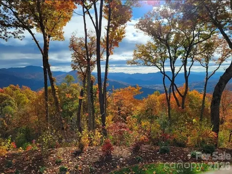 2220 Saranac Lane Waynesville NC 28785