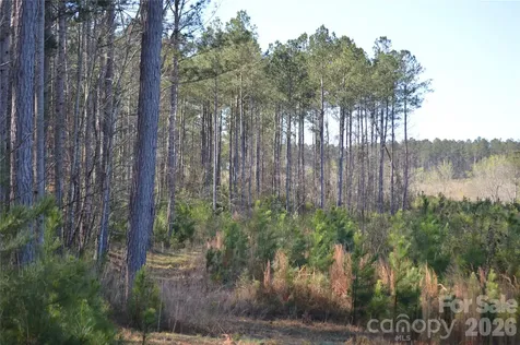 00 Peter Hawk Creek Road Jonesville SC 29353