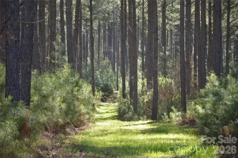00 Peter Hawk Creek Road Jonesville SC 29353