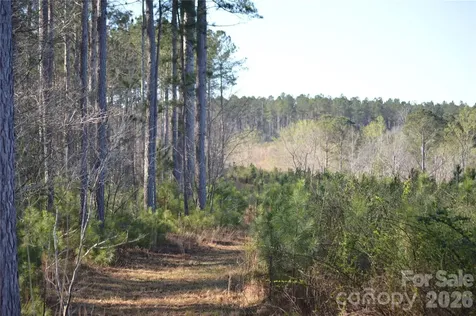 00 Peter Hawk Creek Road Jonesville SC 29353