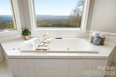 301 Forge Crest Drive Mills River NC 28759