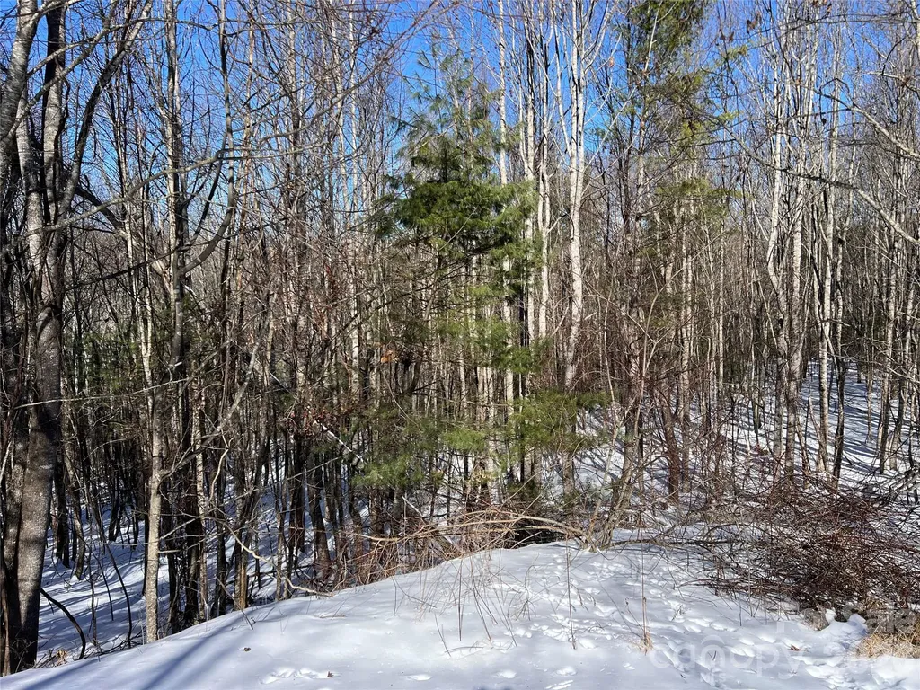 Tbd (Lots 13 & 14) Timberwilde Drive Laurel Springs NC 28644