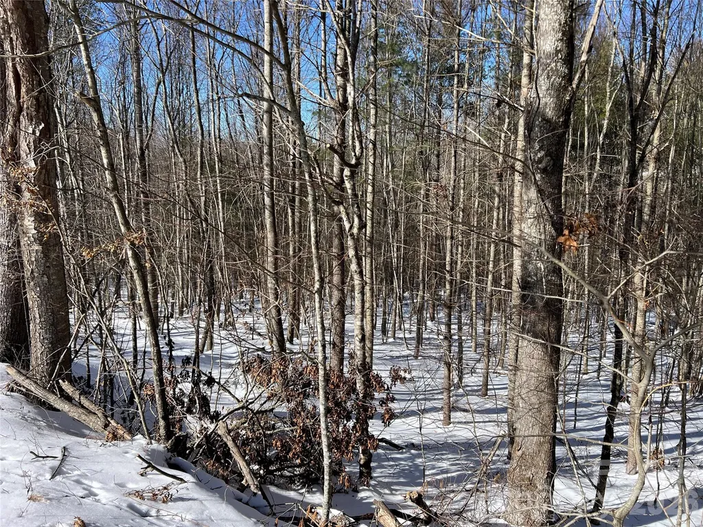 Tbd (Lots 13 & 14) Timberwilde Drive Laurel Springs NC 28644
