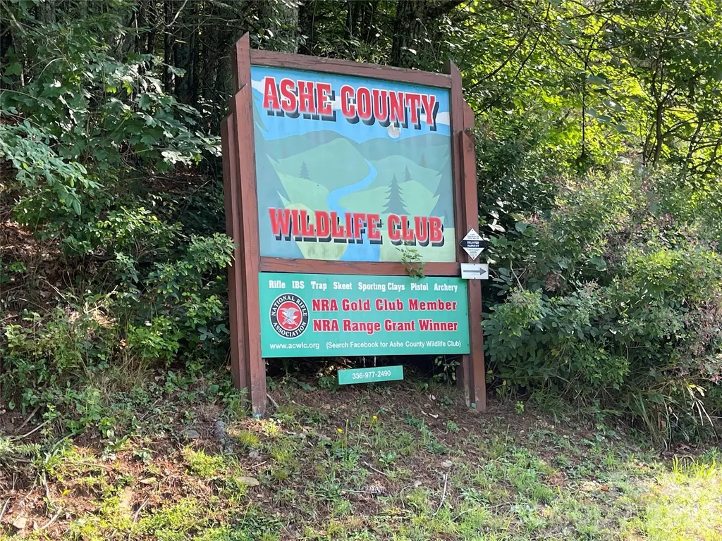 Tbd (Lots 13 & 14) Timberwilde Drive Laurel Springs NC 28644