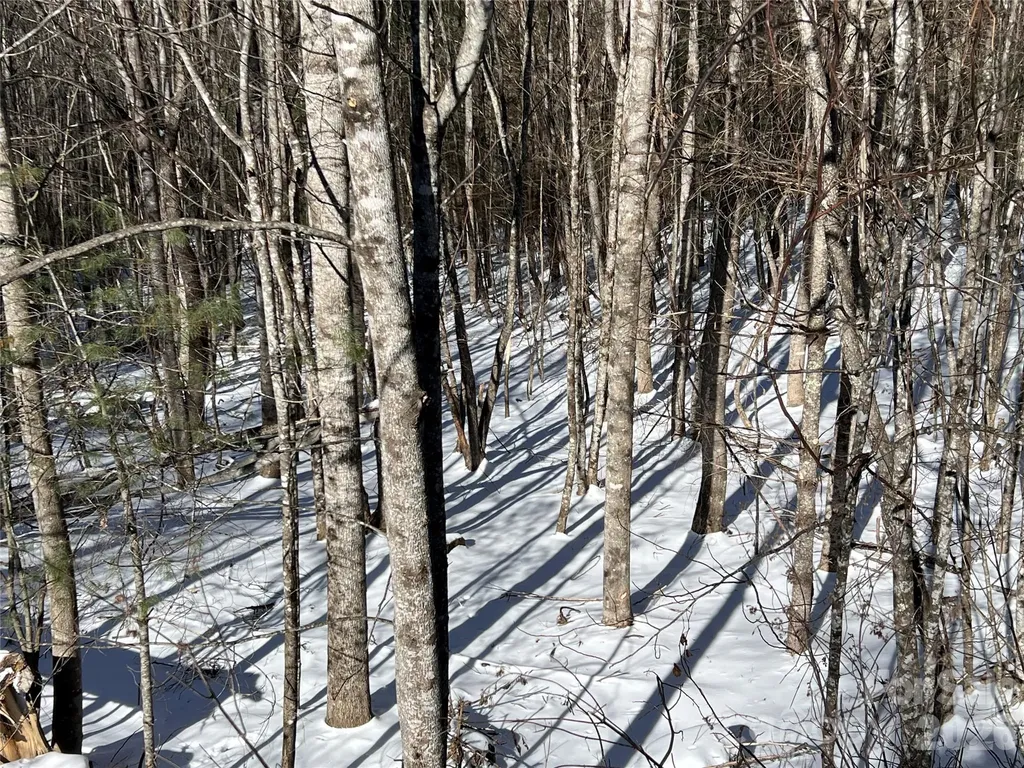 Tbd (Lots 13 & 14) Timberwilde Drive Laurel Springs NC 28644