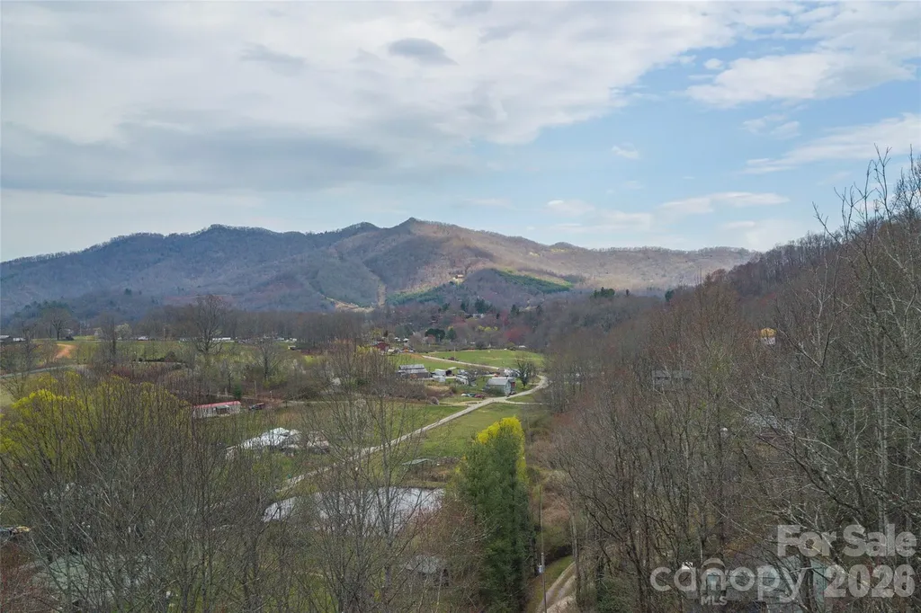 99999 Molasses Way Waynesville NC 28785