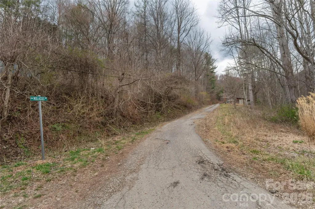 99999 Molasses Way Waynesville NC 28785