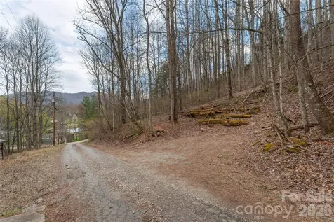 99999 Molasses Way Waynesville NC 28785