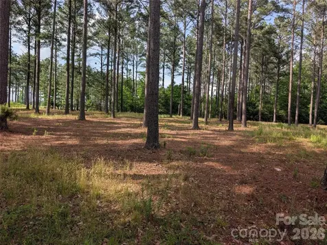 0000 Blessed Hope Road York SC 29745