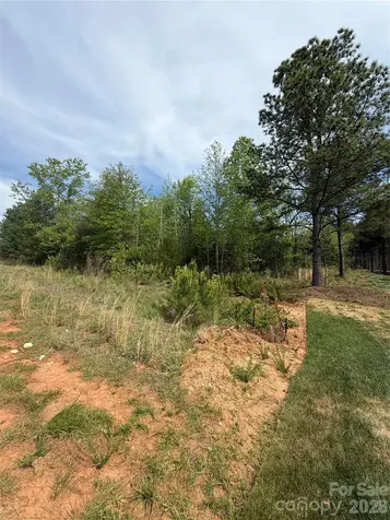 1309 Sage Pine Circle Clover SC 29710
