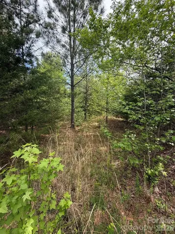 1309 Sage Pine Circle Clover SC 29710