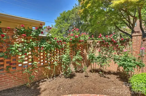 2320 Selwyn Avenue Charlotte NC 28207
