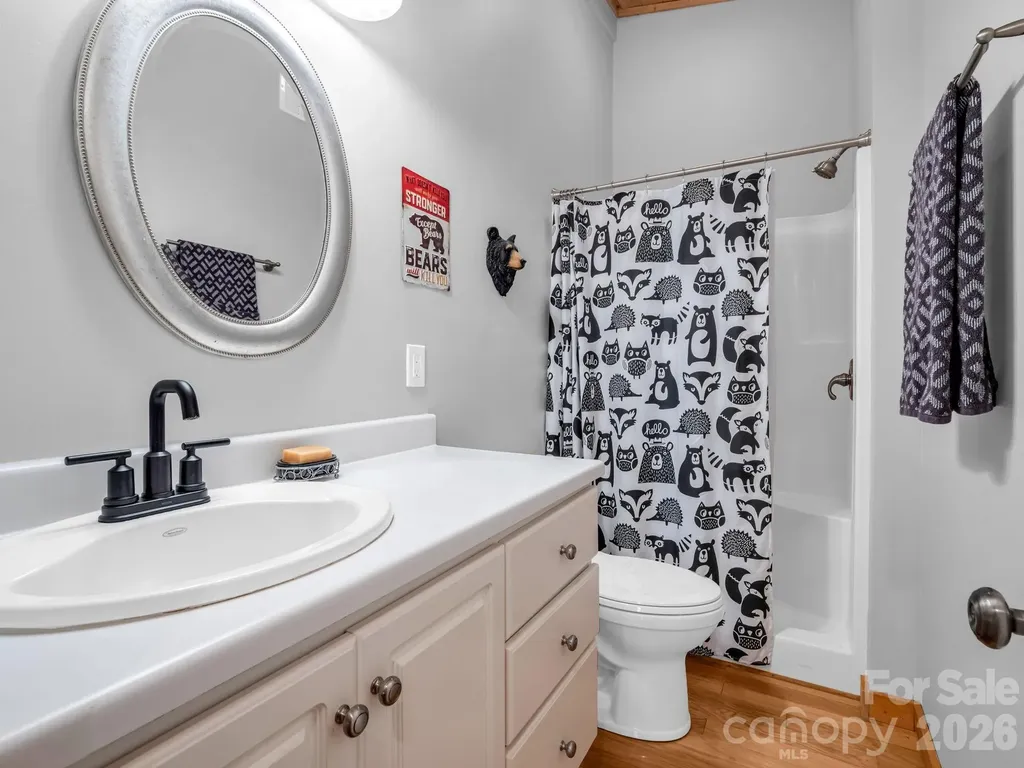78 Wahuhu Court Brevard NC 28712