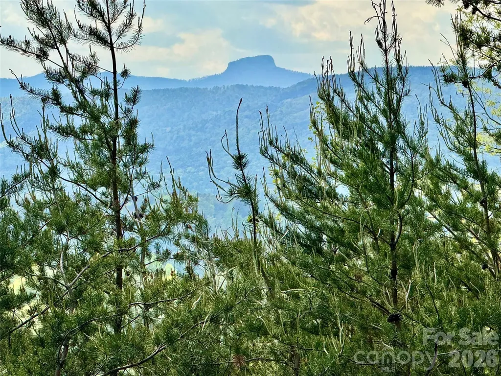 Lot 161/162 Rocky Falls Lane Lenoir NC 28645
