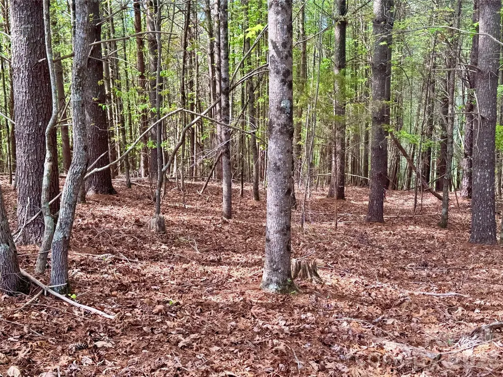Lot 161/162 Rocky Falls Lane Lenoir NC 28645