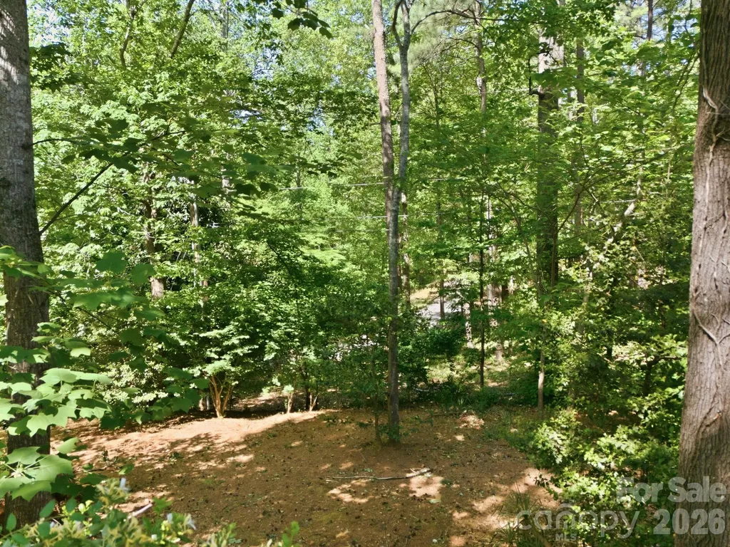 91 Diamond Ridge Lane Columbus NC 28722