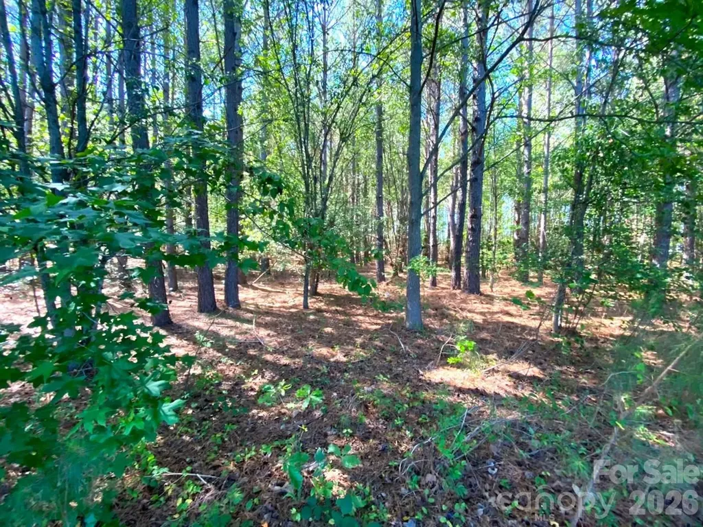 00-A & 00-b Baxter Road Cherryville NC 28021