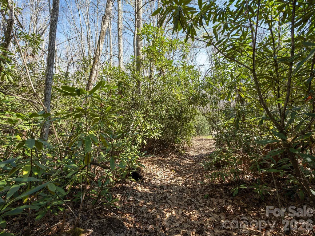 137 Nancy Ashworth Lane Fairview NC 28730