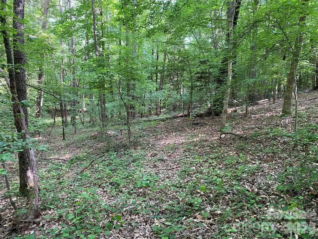8436 Marina Lane Catawba NC 28609