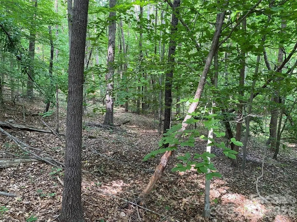 8436 Marina Lane Catawba NC 28609